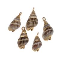 Trumpet Shell Pendant, with Brass, Conch, gold color plated, 29*15*12mm/22*3*8mm, Approx 