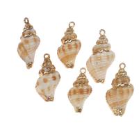 Trumpet Shell Pendant, Conch Approx 