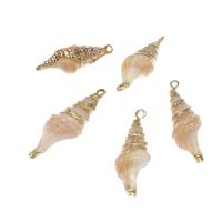 Brass Shell Pendants, with Brass, Conch, gold color plated, 29*16*12mm/24*11*9mm, Approx 