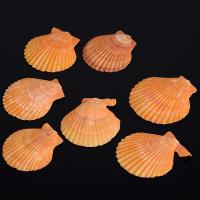 Natural Seashell Pendant, Shell, random style & DIY, orange  