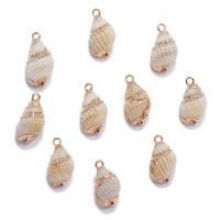 Trumpet Shell Pendant, gold color plated, DIY, white, 15-20mm 