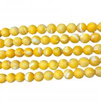 Trochus Beads, Round, DIY, yellow, 10mm 