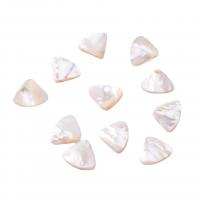 Natural Freshwater Shell Beads, Triangle, polished, DIY, white 