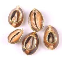 Natural Seashell Pendant, Shell, plated, sienna, 10mm 