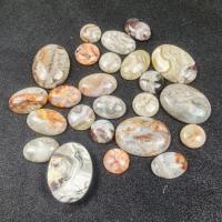 Agate Cabochon, Mexican Agate, polished, DIY  