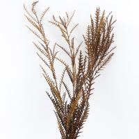 Artificial Flower Home Decoration, Dried Flower, durable & DIY 600mm 