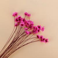 Artificial Flower Home Decoration, Dried Flower, durable & DIY 300mm 
