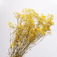 Artificial Flower Home Decoration, Dried Flower, durable & DIY 750mm 