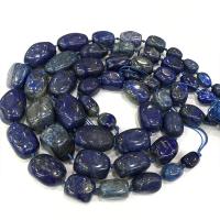 Perles de pierre lasurite naturelles, Lapis lazuli, poli, perles graduées, bleu, 12-28mm, Vendu par PC