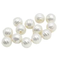 Dyed Shell Beads, Shell Pearl, Carved 