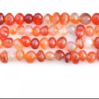 Perles Agates rouges naturelles, Agate, Irrégulière, couleurs mélangées, Vendu par brin