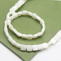 Natural White Shell Beads, Plum Blossom, Carved, handmade, white 
