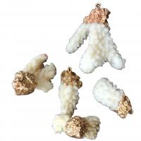 Natural Coral Pendants, plated, handmade, white - 
