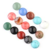 Gemstone Cabochons, Natural Stone, Round, polished, random style, multi-colored 
