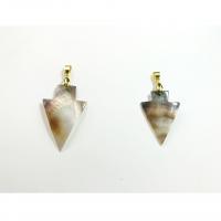Brass Shell Pendants, Freshwater Shell, with Brass, Triangle, Unisex, mixed colors 0c 