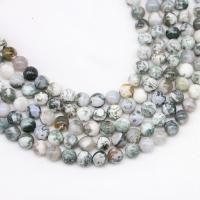 Natürlichen Baum-Achat-Perlen, Achat, rund, poliert, DIY, gemischte Farben, Länge:15 ZollInch, verkauft von Strang
