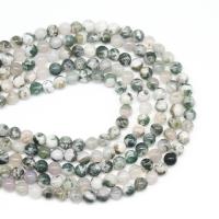 Natürlichen Baum-Achat-Perlen, Baumachat, rund, DIY & verschiedene Größen vorhanden, gemischte Farben, Länge:38 cm, verkauft von Strang