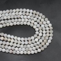 Natürliche verrückte Achat Perlen, Verrückter Achat, rund, DIY & verschiedene Größen vorhanden, weiß, Länge:38 cm, verkauft von Strang