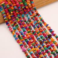 Dyed Shell Beads, DIY, multi-colored, 3x5- cm 