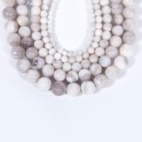 Perle naturelle Agate Crazy, agate folle, Rond, poli, DIY, blanc cm, Vendu par brin