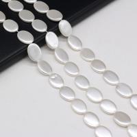 Natural White Shell Beads, Shell Pearl, Flat Oval, DIY, white Approx 38 cm 