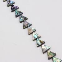 Seeohr Muschelperlen, Dreieck, DIY, gemischte Farben, 13x15mm, verkauft von PC