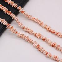 Dyed Shell Beads, DIY, mixed colors, 8-10mm Approx 38 cm 
