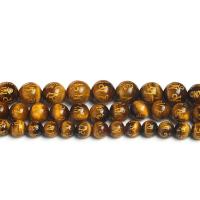 Tiger Eye Beads, Round, polished & gold accent, yellow Approx 14.6 Inch 