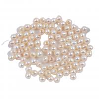 Natural Freshwater Pearl Loose Beads, Round, DIY, white 