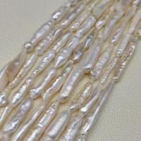 Biwa Cultured Freshwater Pearl Beads, Natural & DIY, white .75 Inch 