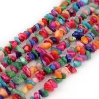 Dyed Shell Beads, DIY cm 