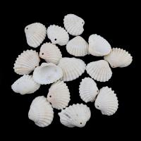 White Shell Pendants, DIY, white, 15-19mm 