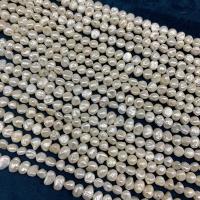 Button Cultured Freshwater Pearl Beads, DIY, white, 7-8mm cm 