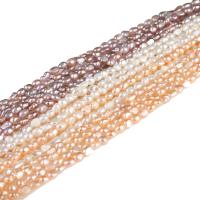 Potato Cultured Freshwater Pearl Beads, irregular, polished, DIY 