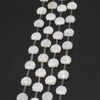 Natürliche weiße Muschelperlen, Schale, DIY, weiß, 11x12x2mm, Länge:38 cm, 20PCs/Strang, verkauft von Strang