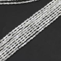Natürliche weiße Muschelperlen, Bambus, DIY, weiß, 7x4x4mm, Länge:38 cm, 58PCs/Strang, verkauft von Strang