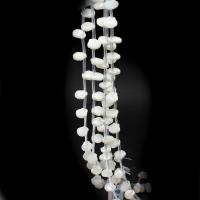Natürliche weiße Muschelperlen, Schale, DIY, weiß, 12x12x3mm, Länge:38 cm, 20PCs/Strang, verkauft von Strang