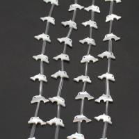 Natürliche weiße Muschelperlen, Dolphin, DIY, weiß, 8x16x2mm, Länge:38 cm, 15PCs/Strang, verkauft von Strang