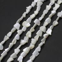 Natürliche weiße Muschelperlen, Unregelmäßige, DIY, weiß, 10x10x5mm, Länge:38 cm, verkauft von Strang