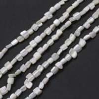 Natürliche weiße Muschelperlen, DIY, weiß, 8x7x6mm, Länge:38 cm, verkauft von Strang