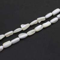 Natürliche weiße Muschelperlen, DIY, weiß, 16x12x7mm, Länge:38 cm, verkauft von Strang