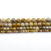 Natürliche verrückte Achat Perlen, Verrückter Achat, rund, DIY, gemischte Farben, Länge:38 cm, verkauft von Strang