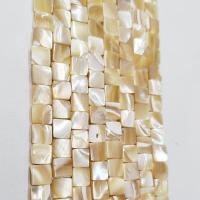 Natural Yellow Shell Beads, Square, polished, DIY, mixed colors cm 