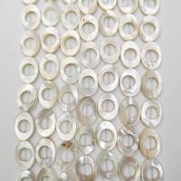 Natürliche weiße Muschelperlen, poliert, DIY, weiß, 13x18mm, Länge:39 cm, verkauft von Strang