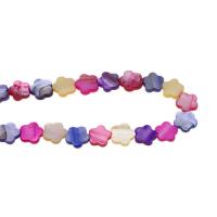 Dyed Shell Beads, Flower, DIY, multi-colored cm 