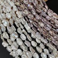 Keshi Cultured Freshwater Pearl Beads, Nuggets, DIY 12x16- 