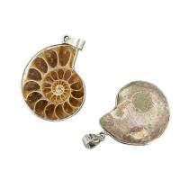 Trumpet Shell Pendant, with Brass, Conch, platinum color plated, Unisex, yellow, 34-38mmx24-28mm 
