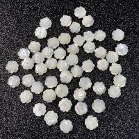 Half Drilled Shell Beads, White Shell, Flower, DIY, white, 8mm 