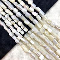 Natürliche weiße Muschelperlen, Unregelmäßige, DIY, weiß, 11-13mm, Länge:ca. 15 ZollInch, verkauft von Strang