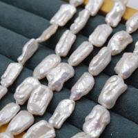 Biwa Cultured Freshwater Pearl Beads, Baroque style, white, 10-18mm Approx 16 Inch 